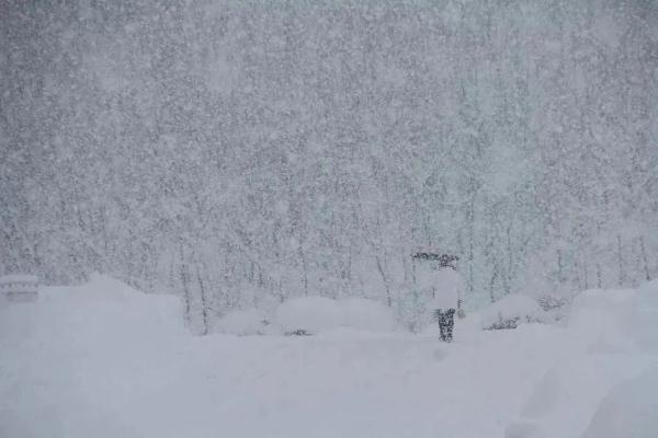 雪大到模糊！积雪最深达74厘米！四问山东半岛暴雪！