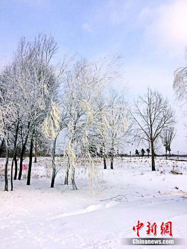 今日冬至 | 冬至大如年 今日冬至 | 冬至大如年