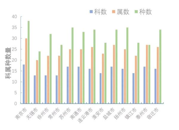 发现这些“厉害角色”，立即报告！