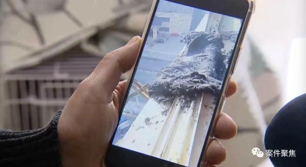 今晨上海松江一别墅起火,无人员伤亡!消防最新通报! 今晨上海松江一别墅起火,无人员伤亡!消防最新通报!