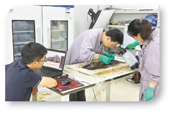 荆州秦家咀楚墓出土3900余枚战国竹简