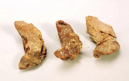 来碗“唐饺”!原来千年前西域古人就已经吃上饺子了 来碗“唐饺”!原来千年前西域古人就已经吃上饺子了