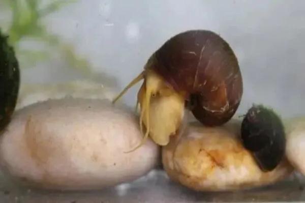 发现这些“厉害角色”，立即报告！