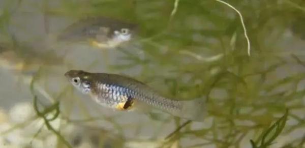 发现这些“厉害角色”，立即报告！