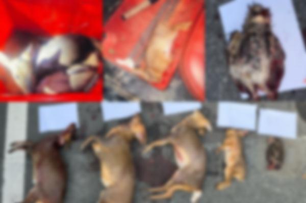 刚刚通报!杭州胡某某、孙某某、施某某、唐某某被抓 刚刚通报!杭州胡某某、孙某某、施某某、唐某某被抓