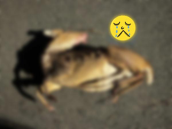 刚刚通报!杭州胡某某、孙某某、施某某、唐某某被抓 刚刚通报!杭州胡某某、孙某某、施某某、唐某某被抓