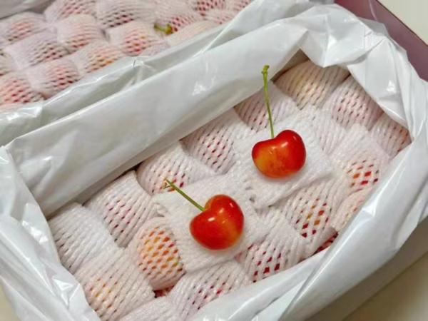 什么?这种水果今年贵到300多元/斤!有上海人已经买了... 什么?这种水果今年贵到300多元/斤!有上海人已经买了...