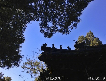 北大燕南园获联合国文化遗产保护奖