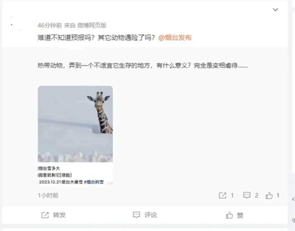 长颈鹿:我在烟台挺好的 长颈鹿:我在烟台挺好的