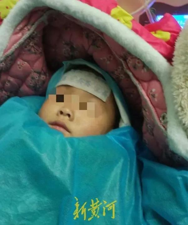 痛心！4岁女童遭3条狗咬掉大半头皮，当地警方回应