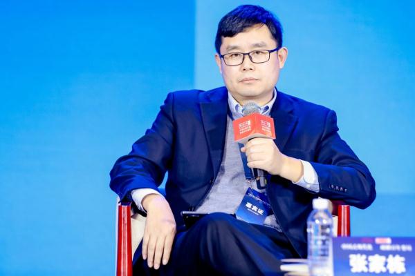 张家栋:对“全球南方”国家而言,中国的地位无法取代 张家栋:对“全球南方”国家而言,中国的地位无法取代