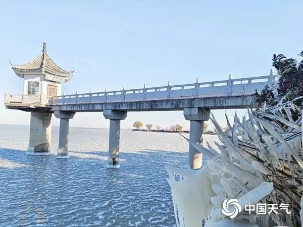 山东积雪深度破纪录,动物园长颈鹿雪地中仅露个头?官方回应 山东积雪深度破纪录,动物园长颈鹿雪地中仅露个头?官方回应