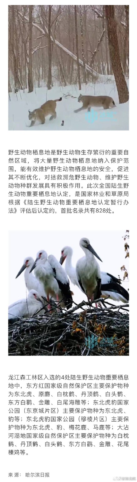 黑龙江4处保护区入选全国野生动物重要栖息地 黑龙江4处保护区入选全国野生动物重要栖息地