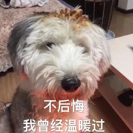 -2.9℃！厦门最新预警！今起三天......