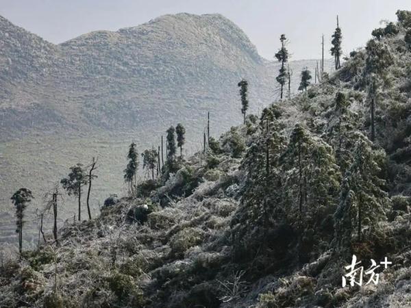 广东这些地方度过40年来“最冷冬至”，还要冻手冻脚多久？