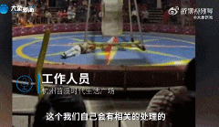 突发意外！一马戏团演员表演时摔下飞轮...