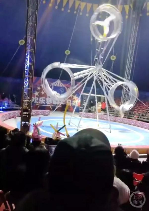 突发意外！一马戏团演员表演时摔下飞轮...