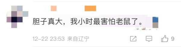 狠人！女生被老鼠咬后，反咬老鼠头报仇？室友：天灵盖上两牙印