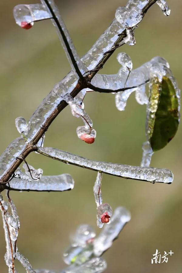 广东这些地方度过40年来“最冷冬至”，还要冻手冻脚多久？
