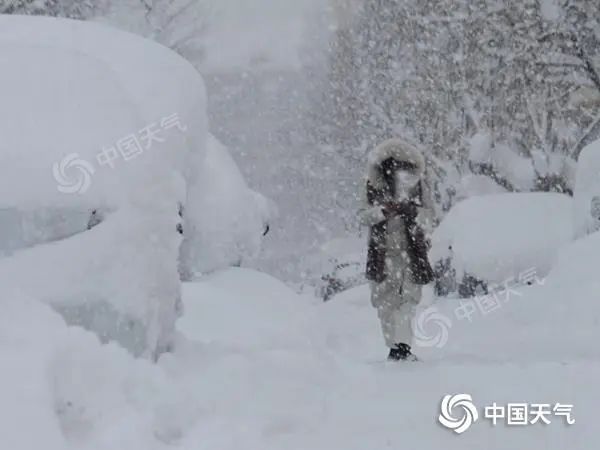 山东积雪深度破纪录,动物园长颈鹿雪地中仅露个头?官方回应 山东积雪深度破纪录,动物园长颈鹿雪地中仅露个头?官方回应