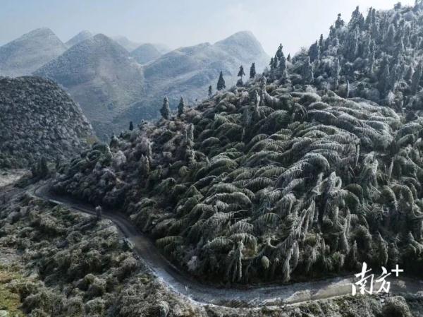 广东这些地方度过40年来“最冷冬至”，还要冻手冻脚多久？