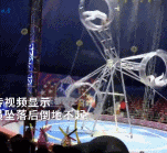 突发意外！一马戏团演员表演时摔下飞轮...