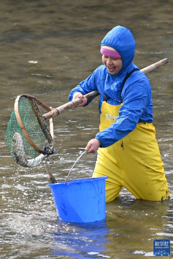 杭州西溪湿地：干塘捕鱼乐趣多