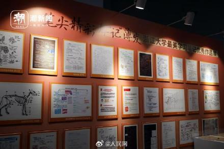 赏心悦目!浙大学霸晒神仙笔记 赏心悦目!浙大学霸晒神仙笔记