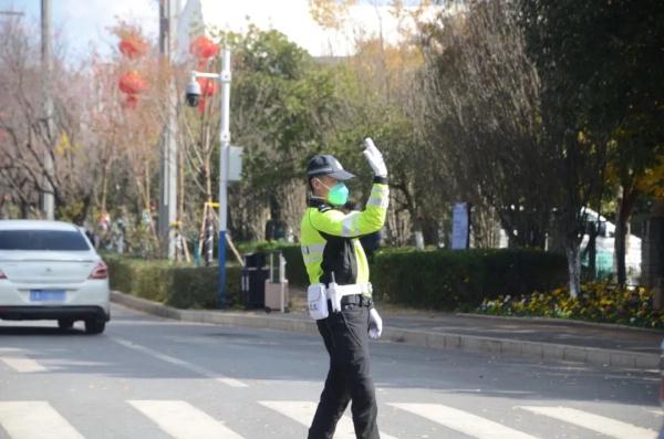 昆明观鸥哪“家”强？这份绿色出行指南快收好！