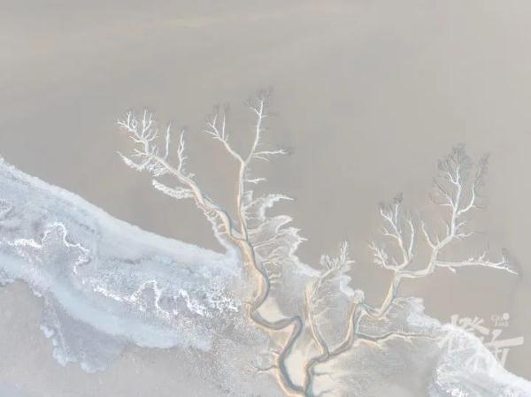 说好的暖冬怎么这么冷？杭州人再等等，大反转快来了！