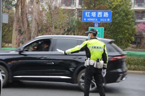 昆明观鸥哪“家”强？这份绿色出行指南快收好！