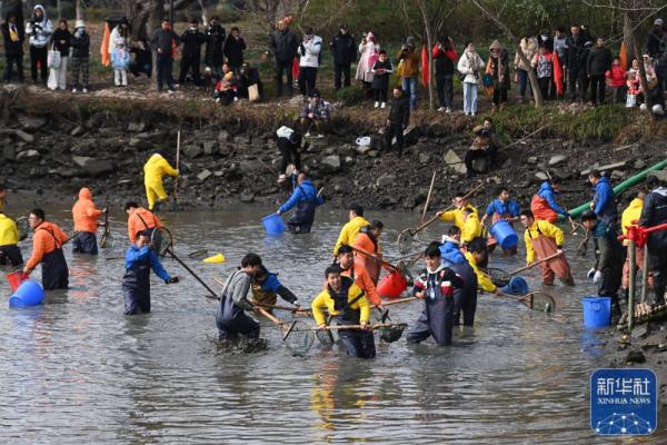 杭州西溪湿地：干塘捕鱼乐趣多