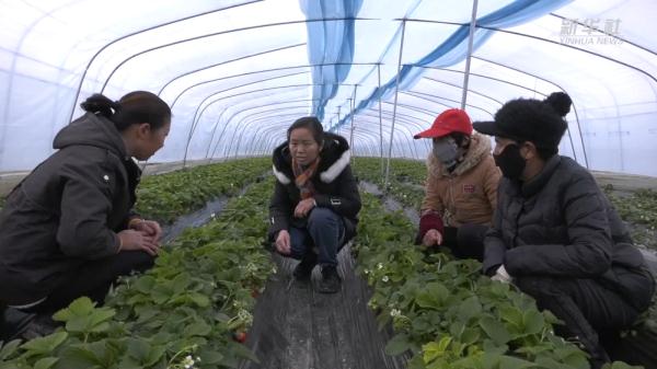 陕西:寒冬中多举措做好民生保障工作 陕西:寒冬中多举措做好民生保障工作