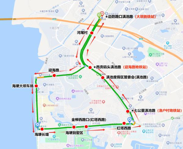 昆明观鸥哪“家”强？这份绿色出行指南快收好！
