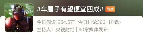 在南沙港“上岸”！“车厘子自由”即将实现🤩