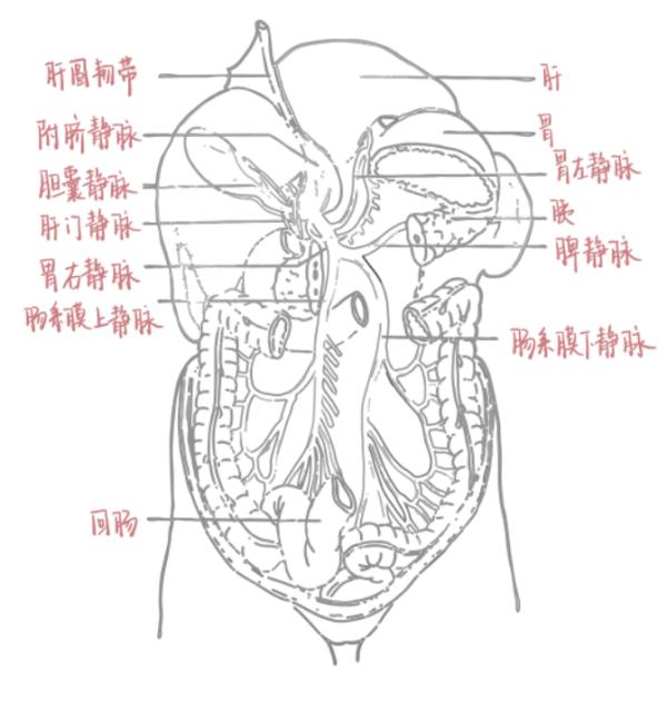 冲上热搜!浙大学霸用一页纸证明自己 冲上热搜!浙大学霸用一页纸证明自己