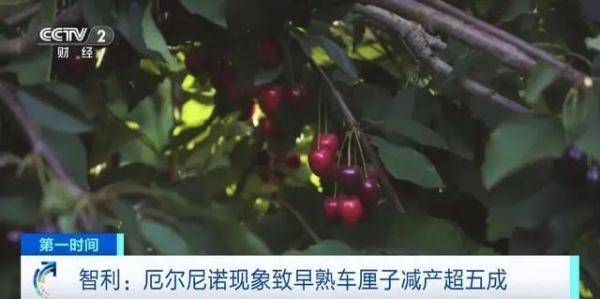 很多佛山人爱吃的！有望降价40%！曾卖到300多元一斤...