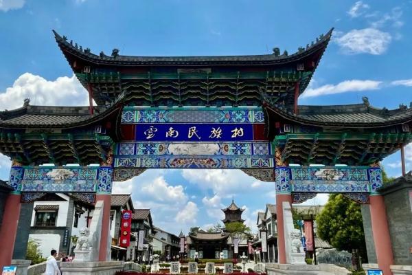 昆明观鸥哪“家”强？这份绿色出行指南快收好！