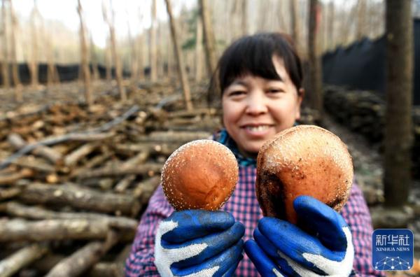 丰富“菜篮子” 冬季保供忙