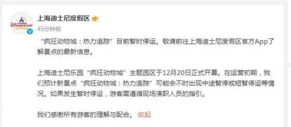 上海迪士尼:一新景点暂时停运 上海迪士尼:一新景点暂时停运