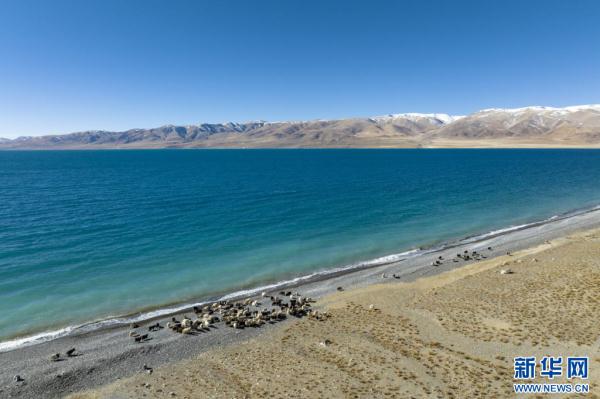 当惹雍错：藏北高原上的“蓝宝石”