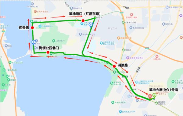 昆明观鸥哪“家”强？这份绿色出行指南快收好！