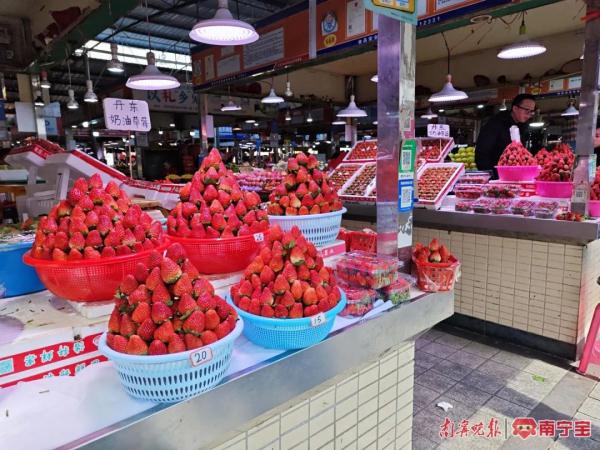 价格“跳水”！“草莓自由”来了？