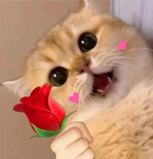 “考研结束走出考场那一刻,大家都很平静,接下来……” “考研结束走出考场那一刻,大家都很平静,接下来……”