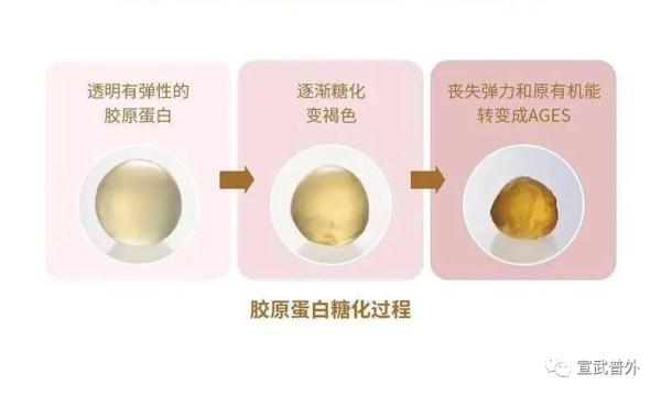什么是抗糖？