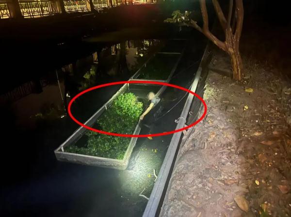 天寒地冻,男子竟穿短袖泡在河里睡觉…… 天寒地冻,男子竟穿短袖泡在河里睡觉……