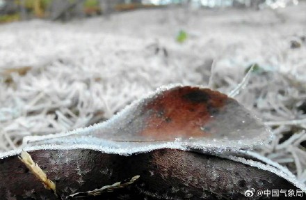 贵阳多地出现霜 晶莹剔透宛如钻石