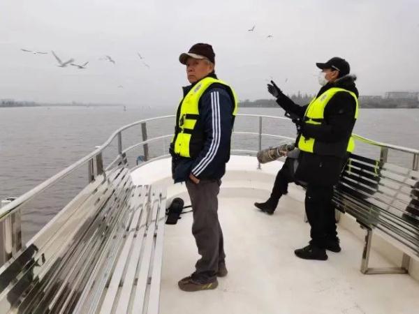 昆明首次发现海鸥新种！今年来昆海鸥总数达40700只……