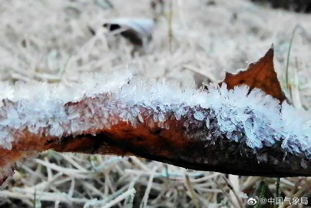 贵阳多地出现霜 晶莹剔透宛如钻石