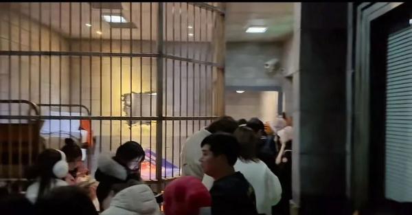 上海迪士尼突发设备故障致游客被困，回应来了